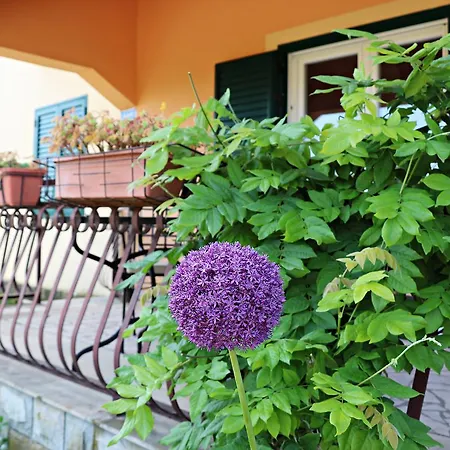 Holiday Nela Holiday home Ploce (Dubrovnik-Neretva)